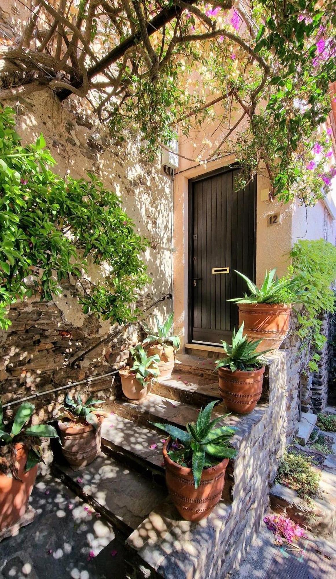 5Rbut1 - Maison Familiale Sur Deux Niveaux En Plein Coeur Du Centre Ville 科利尤尔 外观 照片